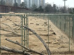-太原动物园