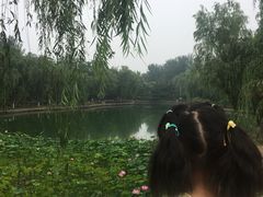 -康庄公园