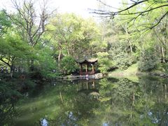 -杭州植物园
