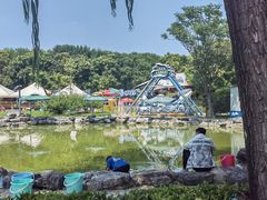 -朝阳公园游乐园