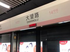 -大望路(地铁站)