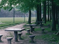 -上海共青森林公园