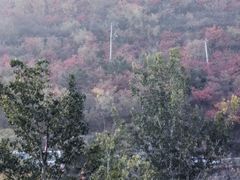 -狼牙山风景区
