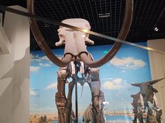 -国家自然博物馆