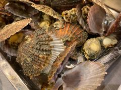 煮扇贝-腾格勒烤羊腿