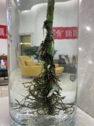 -纵享怡月月子中心(西稍门店)