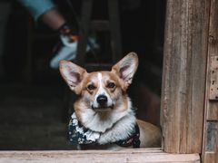 -西安电影制片厂