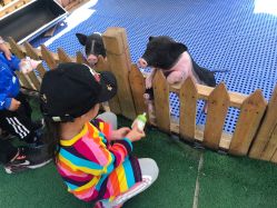 -萌宠亲子动物乐园(槐房万达店)