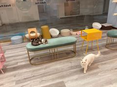 -BABIT巴比特宠物(MOMOPARK店)