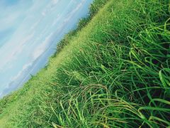 -东白山