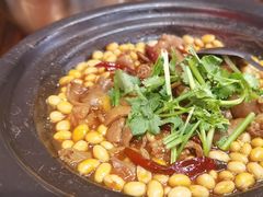 -涛哥的锅湘味砂锅菜