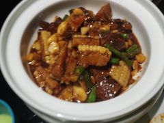 -三强鸽子(中原路店)