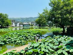 -呈坎景区