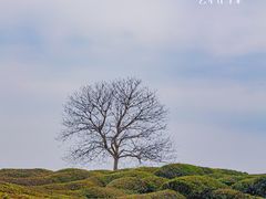 -景德镇陶阳里历史文化旅游区