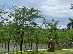 -广东财经大学(佛山校区)