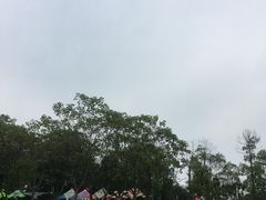 -两河城市森林公园