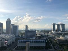 -新加坡瑞士史丹福酒店