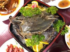 -松涛园朝鲜·海鲜·料理店(鸭绿江断桥店)