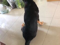 -申普宠物医院·眼科·心内科·影像科(普陀分院)