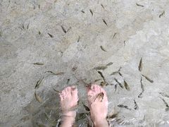 -碧水湾温泉