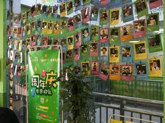 -小问号·科学启蒙·逻辑思维·阅读素养·口才演讲(杨浦合生汇中心)