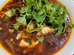 -胖大姐黄辣丁鱼庄(新津店)