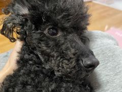 -美联众合24小时·皮肤科·外科·全科诊疗中心(华苑分院)