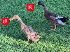 -肆兮眼镜·蔡司·徕卡战略合作店(大坪店)