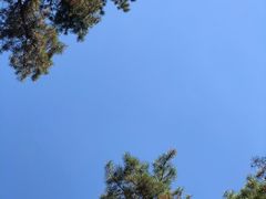 -黑龙江省森林植物园