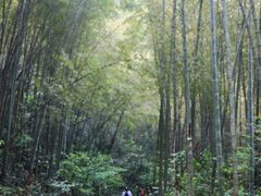 -午潮山国家森林公园