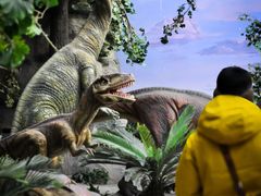 -国家自然博物馆