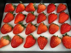 -海吉星国际农产品物流管理有限公司