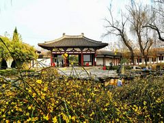 -西安青龙寺遗址景区