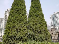 -大班家政月嫂育儿嫂(总部店)