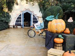 -郑州方特梦幻王国