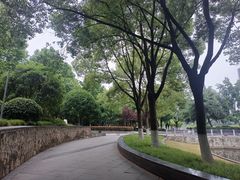 -后襄河公园
