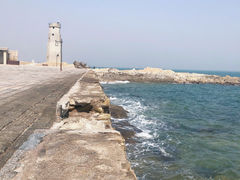 -日照海滨国家森林公园