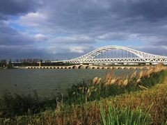 -澹台湖公园