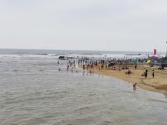 -日照海滨国家森林公园