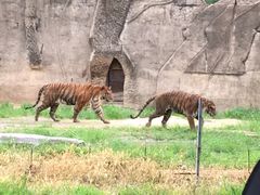 -秦皇岛野生动物园
