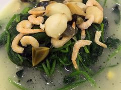 -楼外楼·停车场