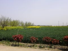 -姜武烧烤(赛格广场店)