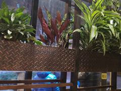 露天位-聚点串吧·北京烧烤(赵登禹路店)