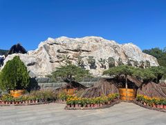 -北京西山国家森林公园