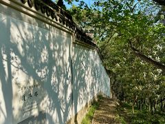 -上海佘山国家森林公园天马山园