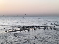 -金梦海湾浴场