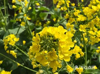 拍完才发现我是竖屏拍的又不想再拍第二遍了