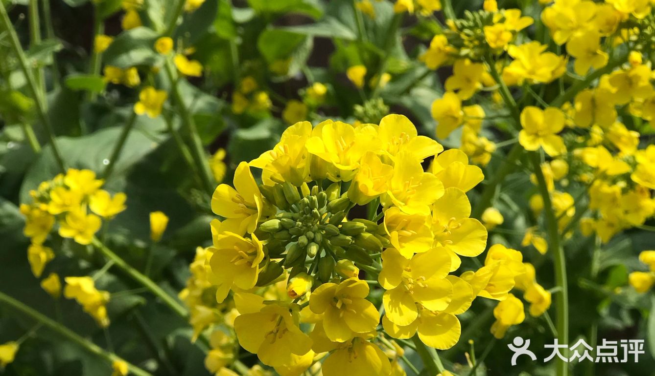 拍完才发现我是竖屏拍的又不想再拍第二遍了