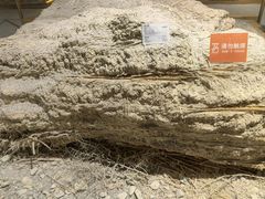 -敦煌市博物馆