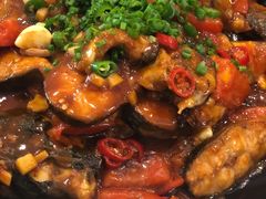 阳朔啤酒毛骨鱼-椿记烧鹅(叠彩店)